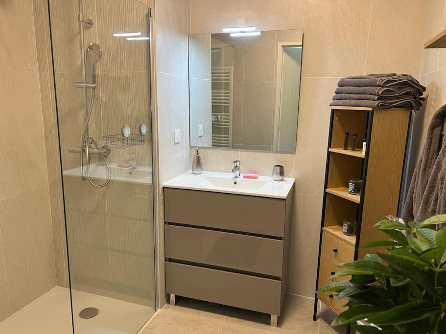 Superbe Appartement Neuf Aucalme 滨海圣芒德里耶 外观 照片